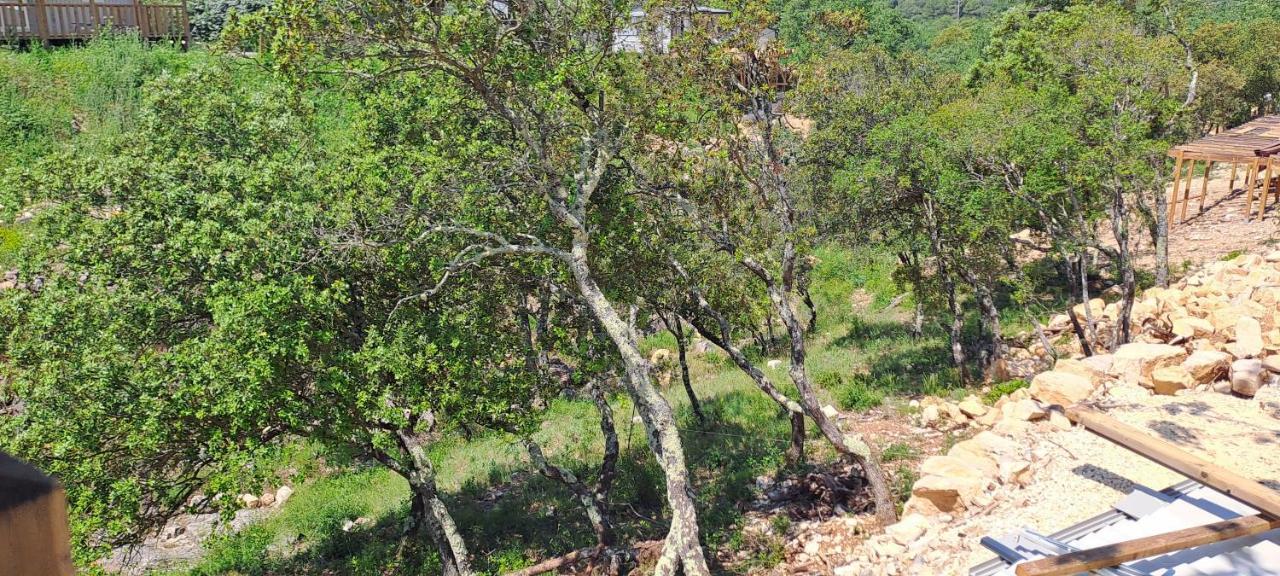 Chez Nat Ξενοδοχείο Rocbaron Εξωτερικό φωτογραφία